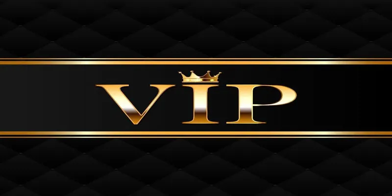 Trải nghiệm chương trình vip BK8 siêu thú vị 