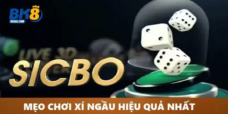 Chiến thuật cá cược lũy tiến là cách chơi xí ngầu hay nhất mọi thời đại